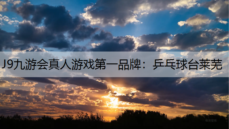 J9九游会真人游戏第一品牌：乒乓球台莱芜