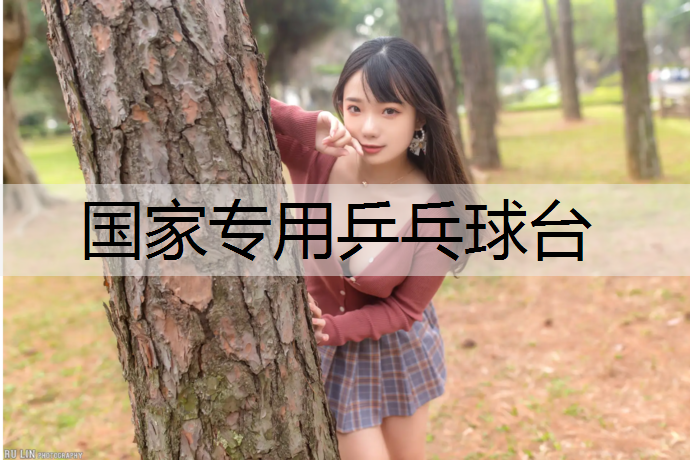 国家专用乒乓球台